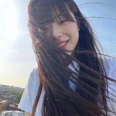 老柿子树